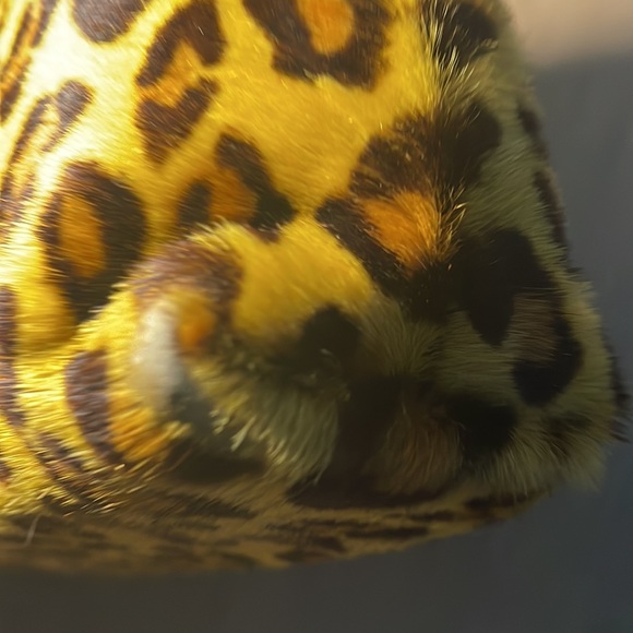 Soffer Ari Real Animal Fur Mini Bag with Zipper Very Beautiful Piece - Picture 10 of 15